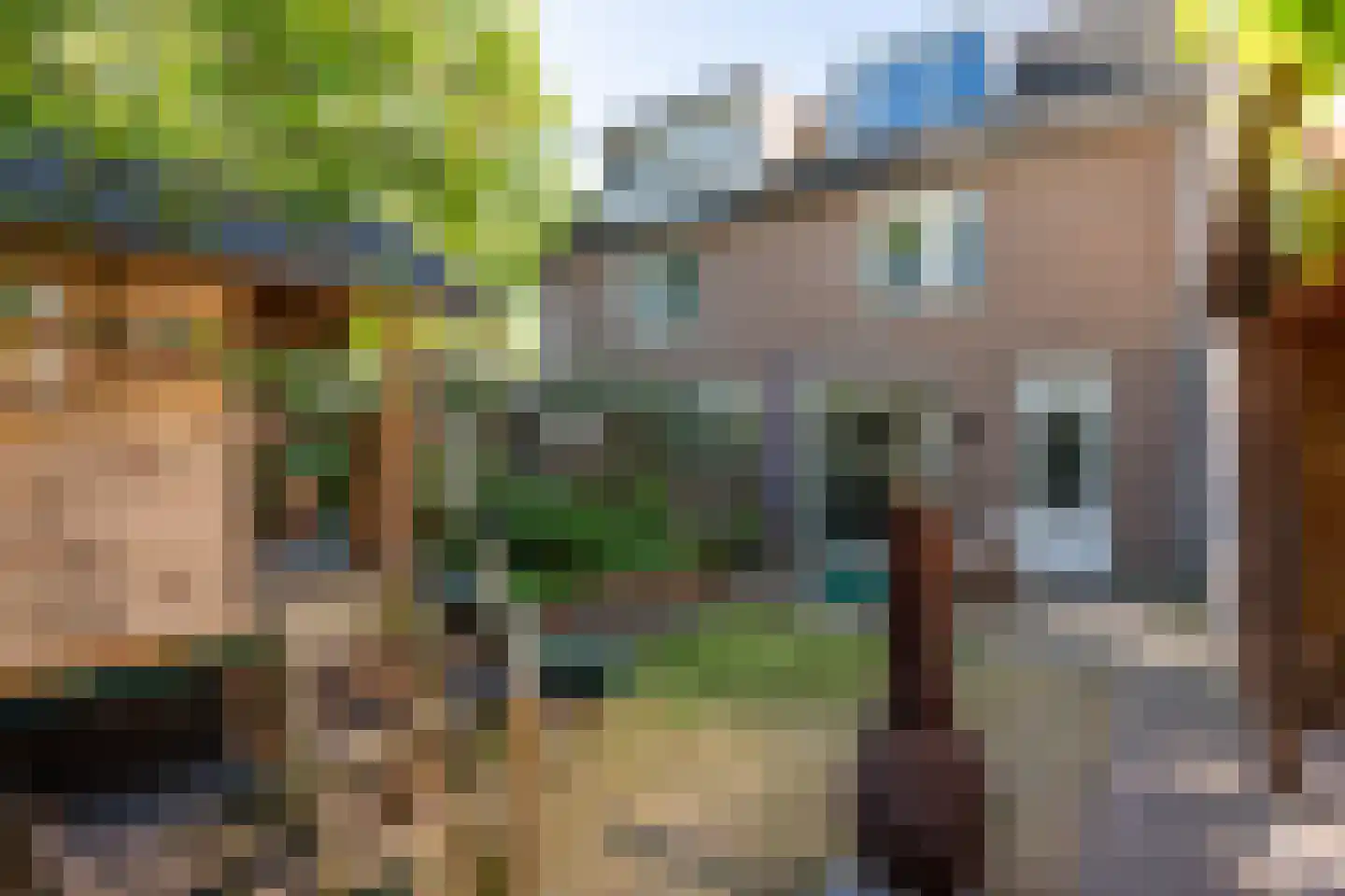 de Kuiper 16 Heeze thumbnail 37