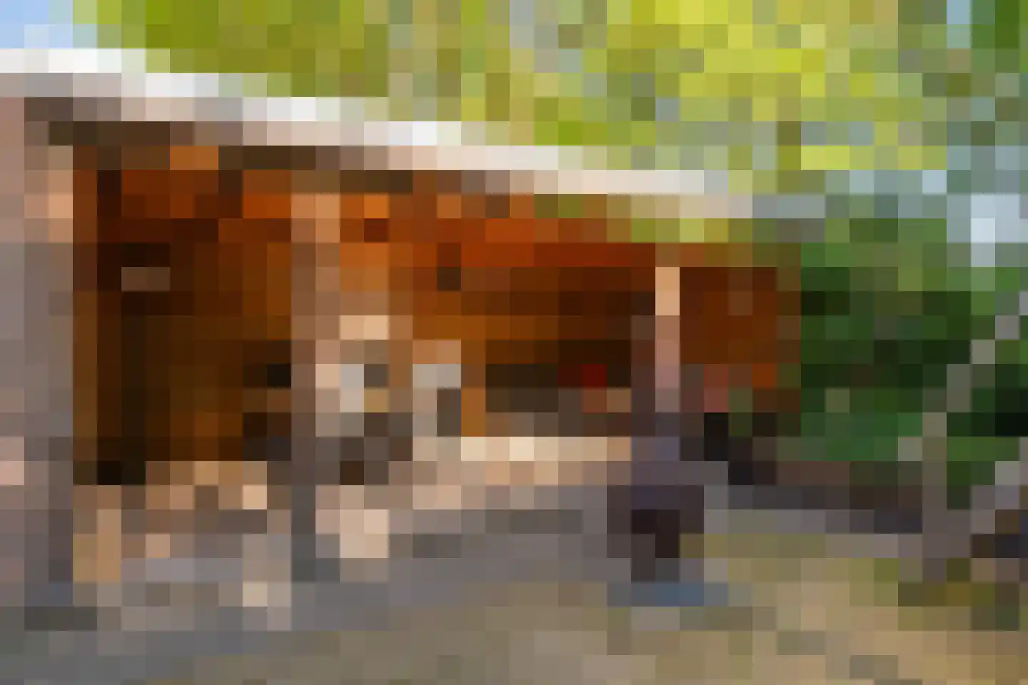 de Kuiper 16 Heeze thumbnail 4
