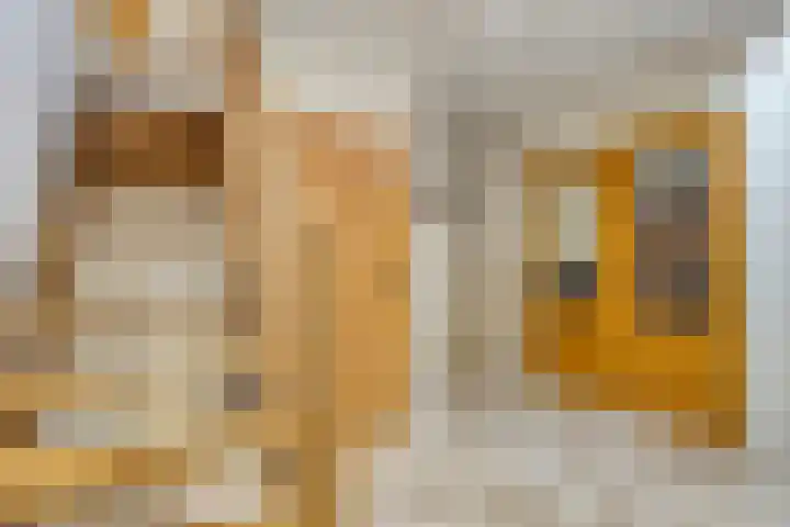 De Kuiper 18 Sevenum thumbnail 11