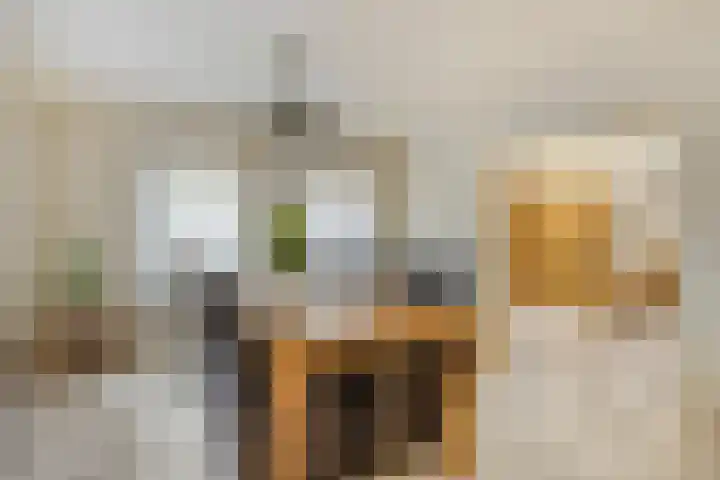 De Kuiper 18 Sevenum thumbnail 14