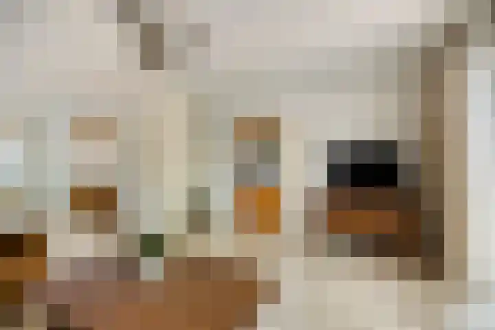 De Kuiper 18 Sevenum thumbnail 18