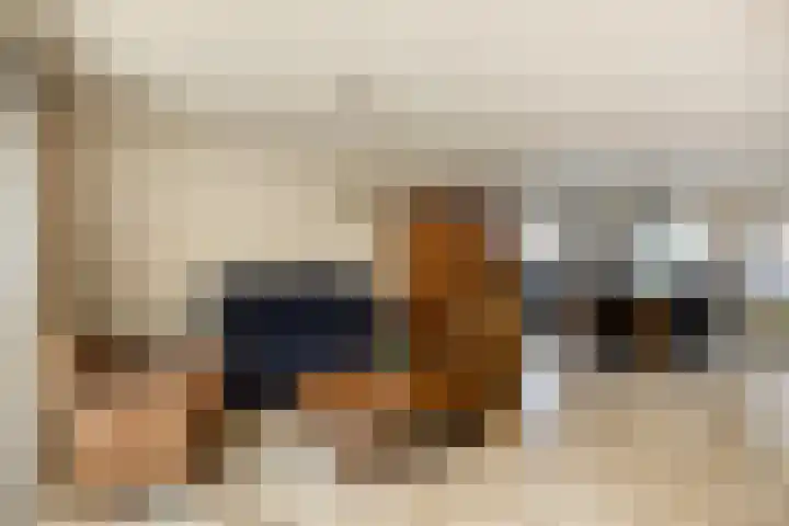 De Kuiper 18 Sevenum thumbnail 19