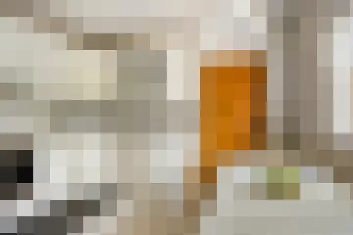 De Kuiper 18 Sevenum thumbnail 20