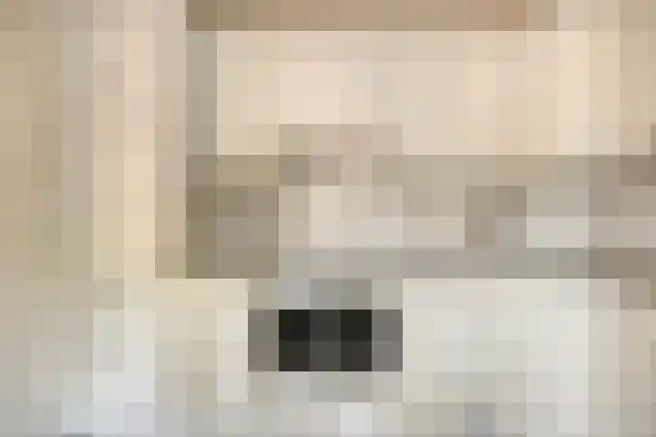 De Kuiper 18 Sevenum thumbnail 22