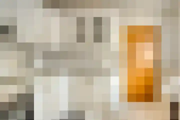 De Kuiper 18 Sevenum thumbnail 23