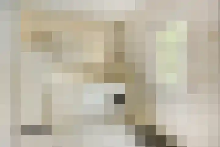 De Kuiper 18 Sevenum thumbnail 24