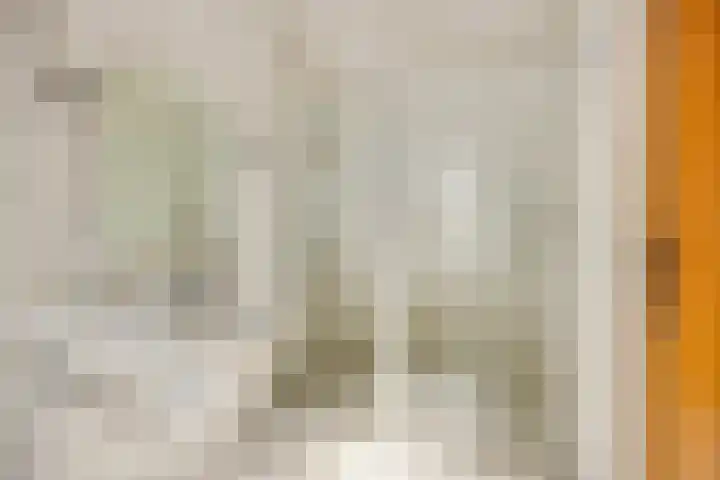 De Kuiper 18 Sevenum thumbnail 27