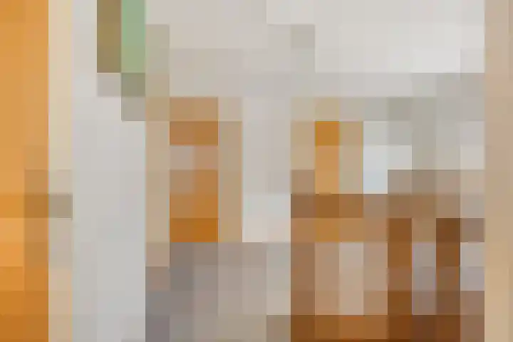 De Kuiper 18 Sevenum thumbnail 33