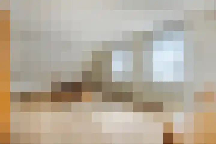 De Kuiper 18 Sevenum thumbnail 35