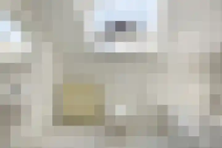 De Kuiper 18 Sevenum thumbnail 36