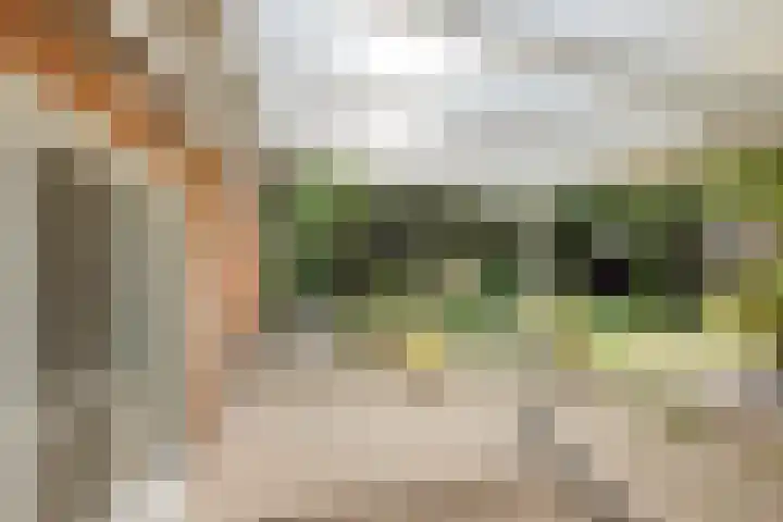 De Kuiper 18 Sevenum thumbnail 41