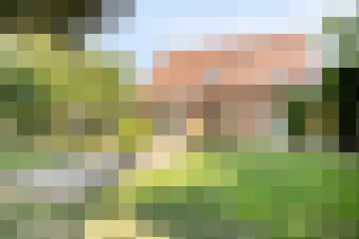 De Kuiper 18 Sevenum thumbnail 43