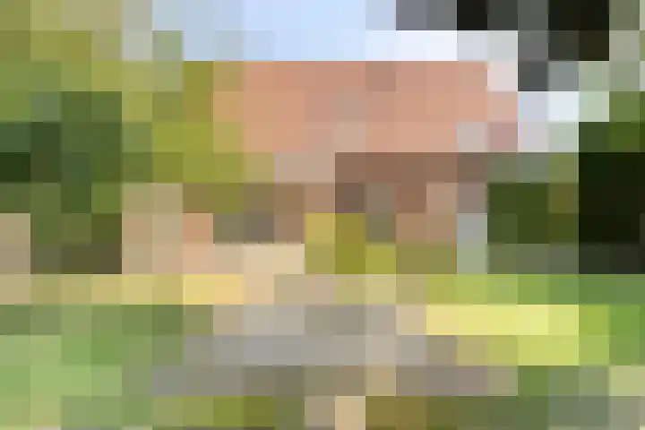 De Kuiper 18 Sevenum thumbnail 44