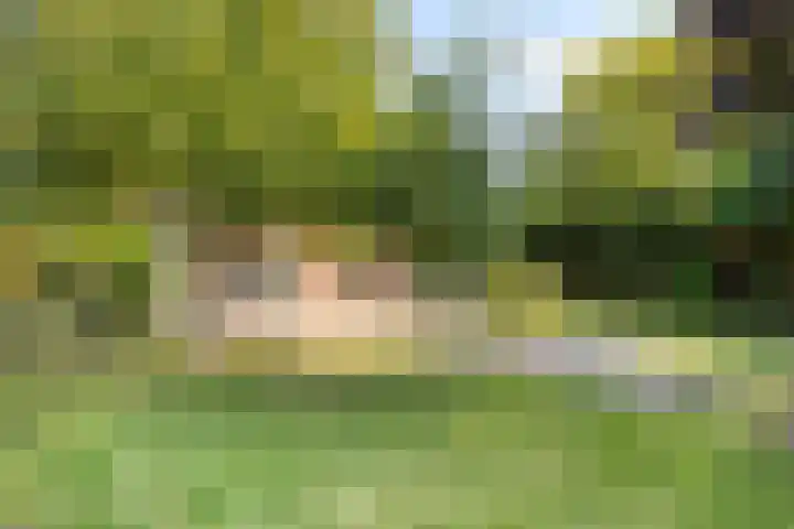 De Kuiper 18 Sevenum thumbnail 45
