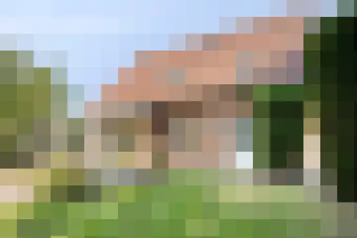 De Kuiper 18 Sevenum thumbnail 46