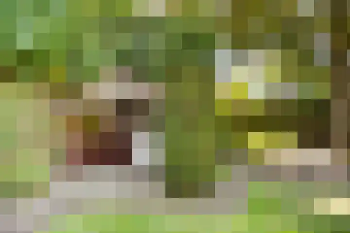 De Kuiper 18 Sevenum thumbnail 47