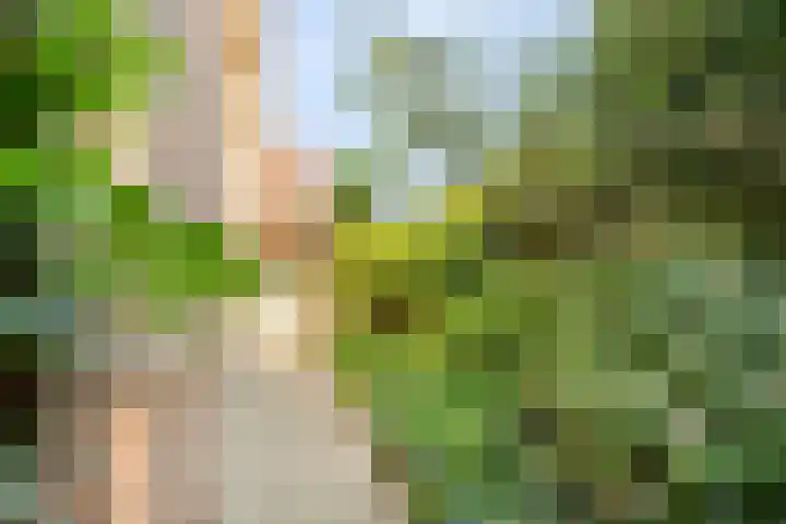 De Kuiper 18 Sevenum thumbnail 48