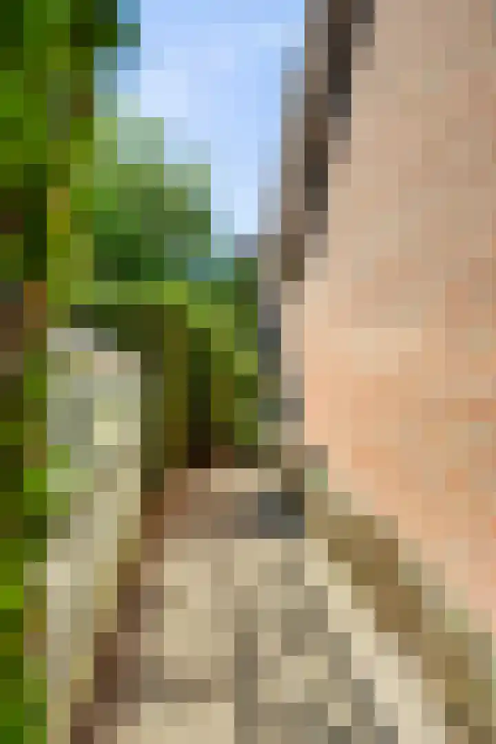 De Kuiper 18 Sevenum thumbnail 49