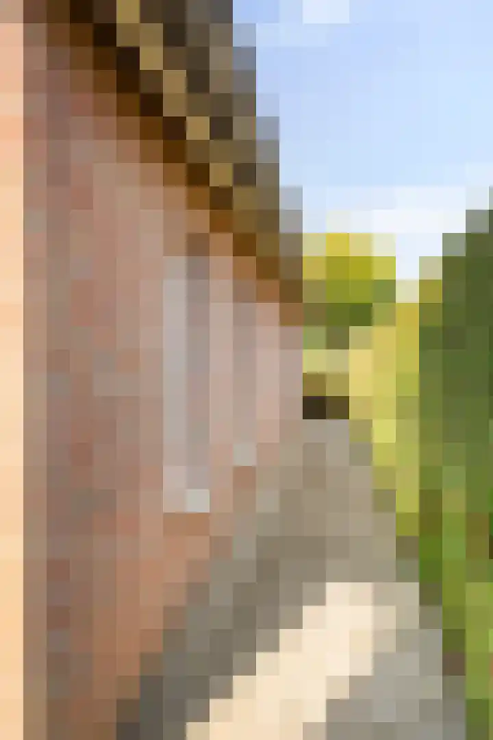 De Kuiper 18 Sevenum thumbnail 50