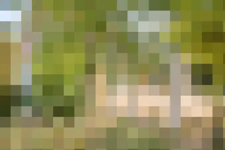 De Kuiper 18 Sevenum thumbnail 51