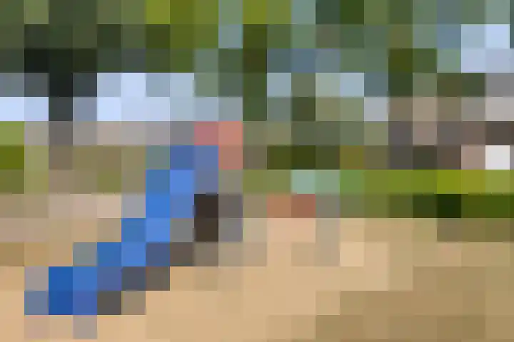De Kuiper 18 Sevenum thumbnail 52