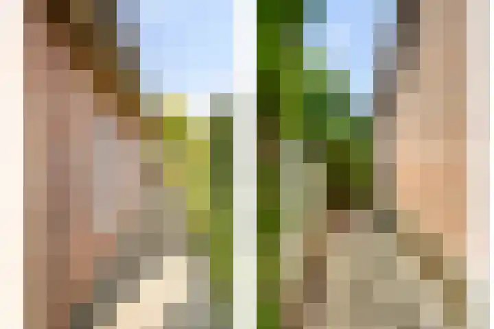 De Kuiper 18 Sevenum thumbnail 53