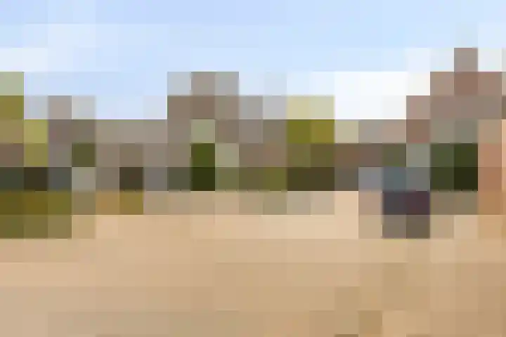 De Kuiper 18 Sevenum thumbnail 8