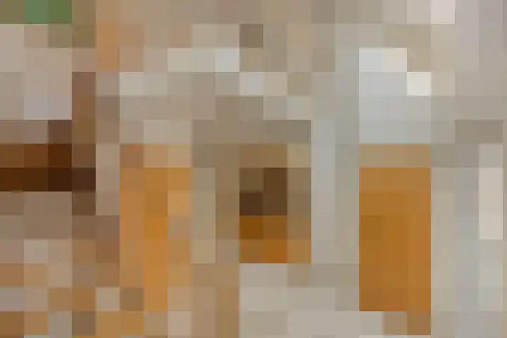 De Kuiper 18 Sevenum thumbnail 9