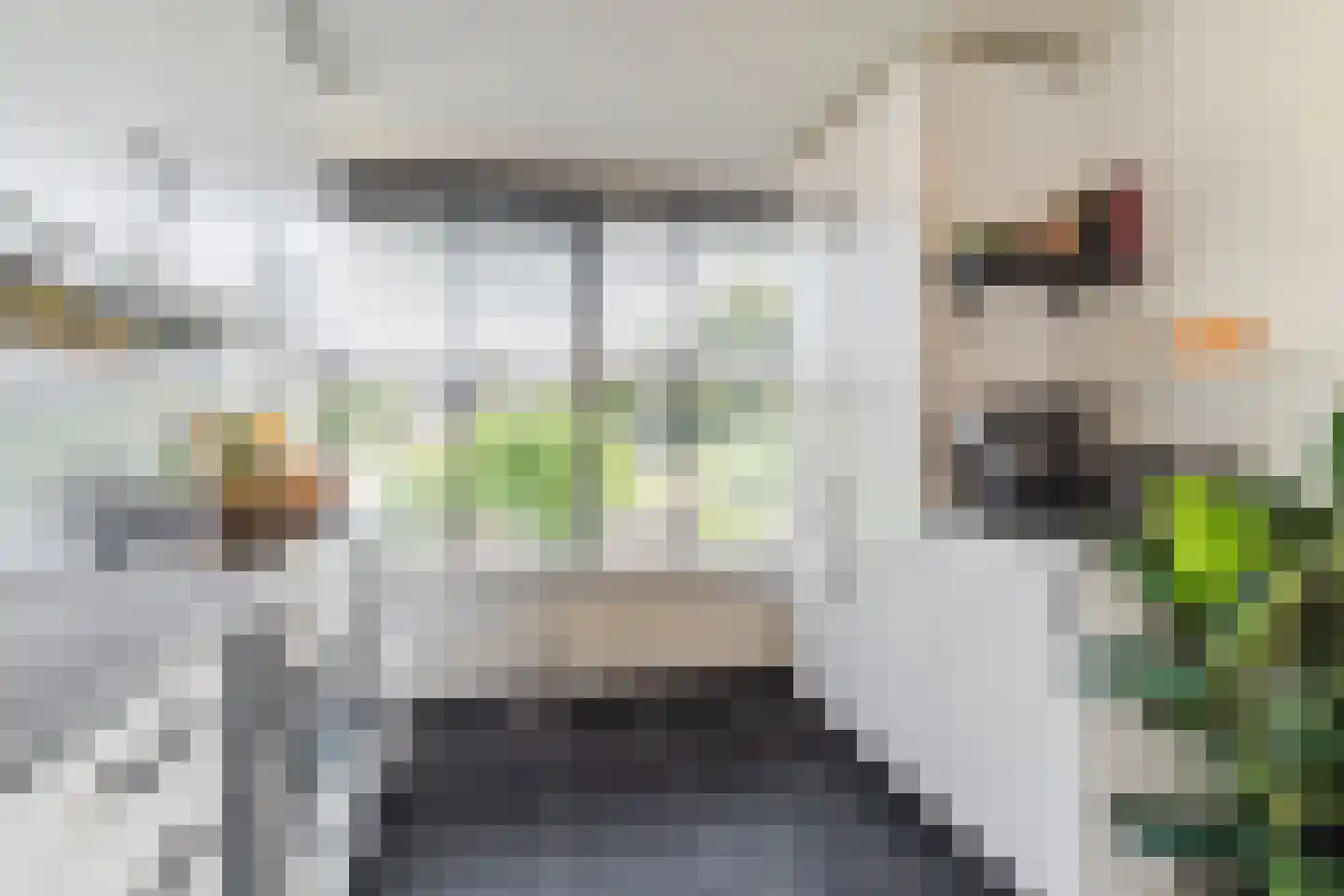De Kuiperij 10 Tiel thumbnail 18