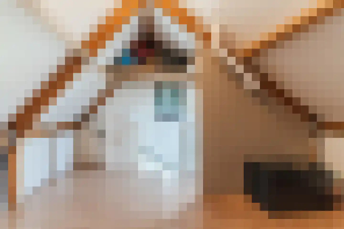 De Kuiperij 10 Tiel thumbnail 41