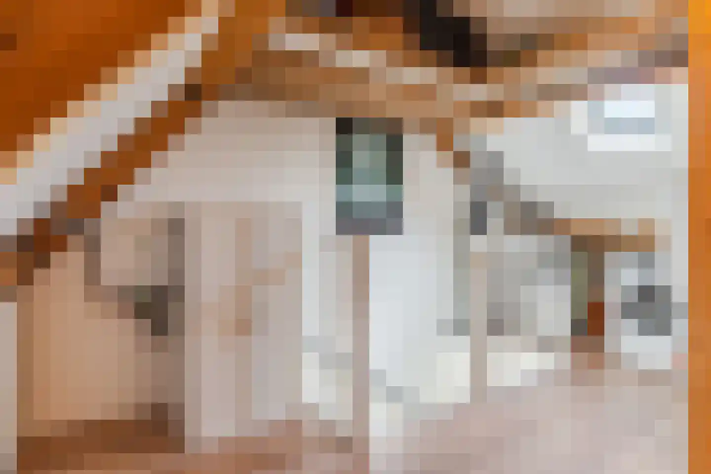 De Kuiperij 10 Tiel thumbnail 42