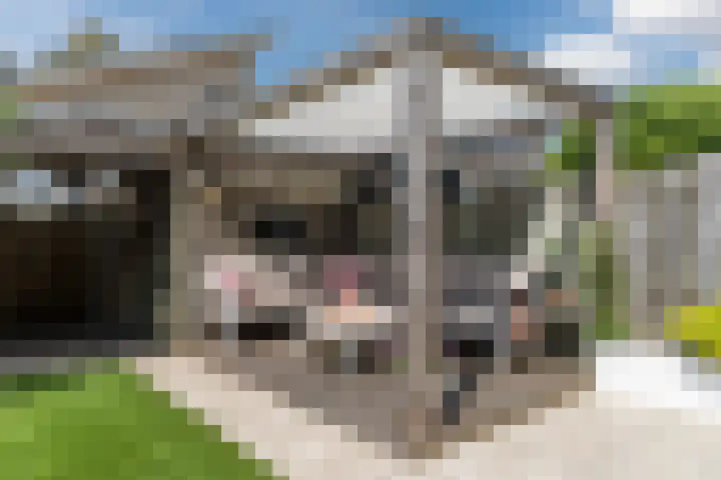 De Kuiperij 10 Tiel thumbnail 47