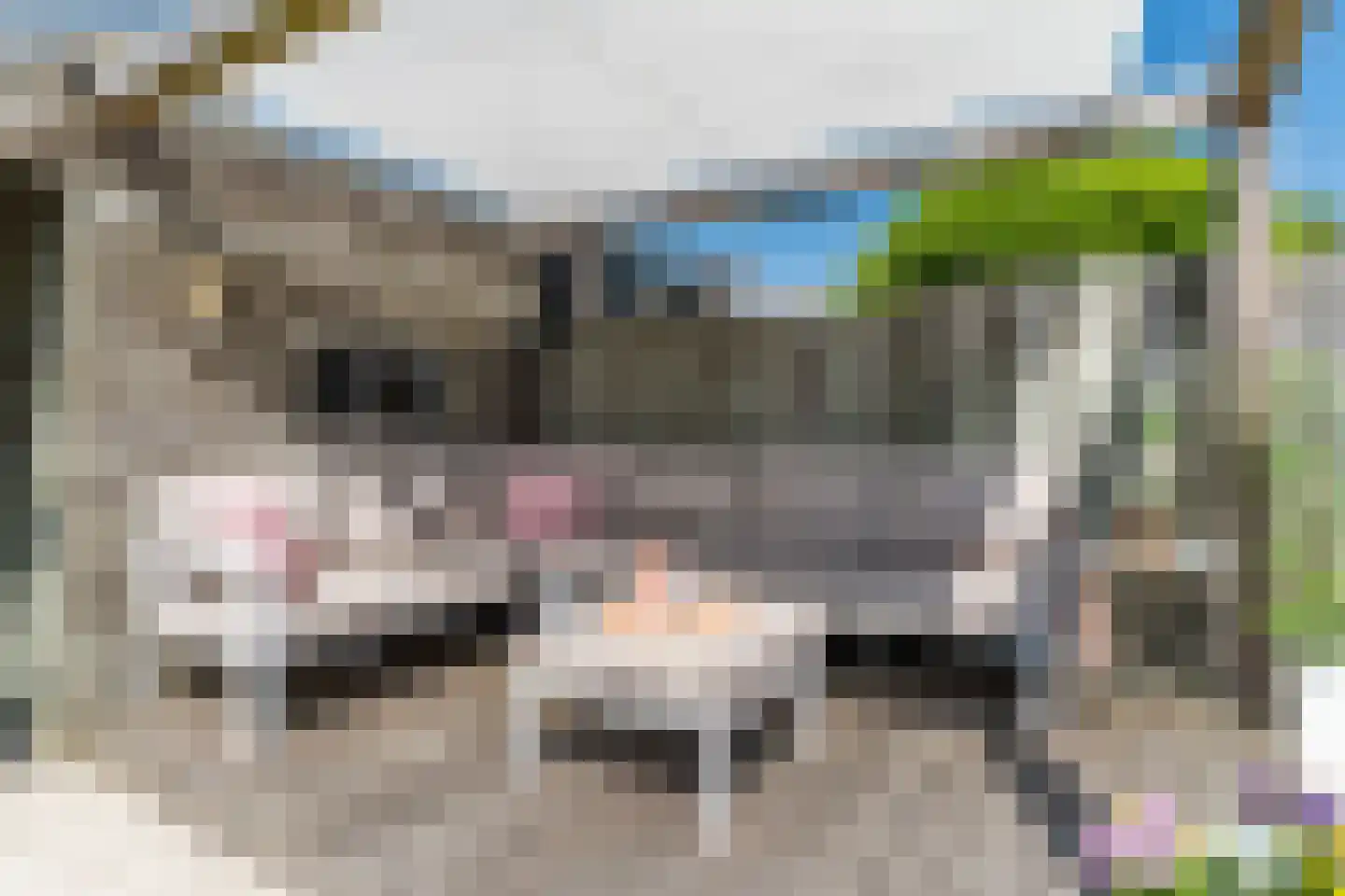 De Kuiperij 10 Tiel thumbnail 48