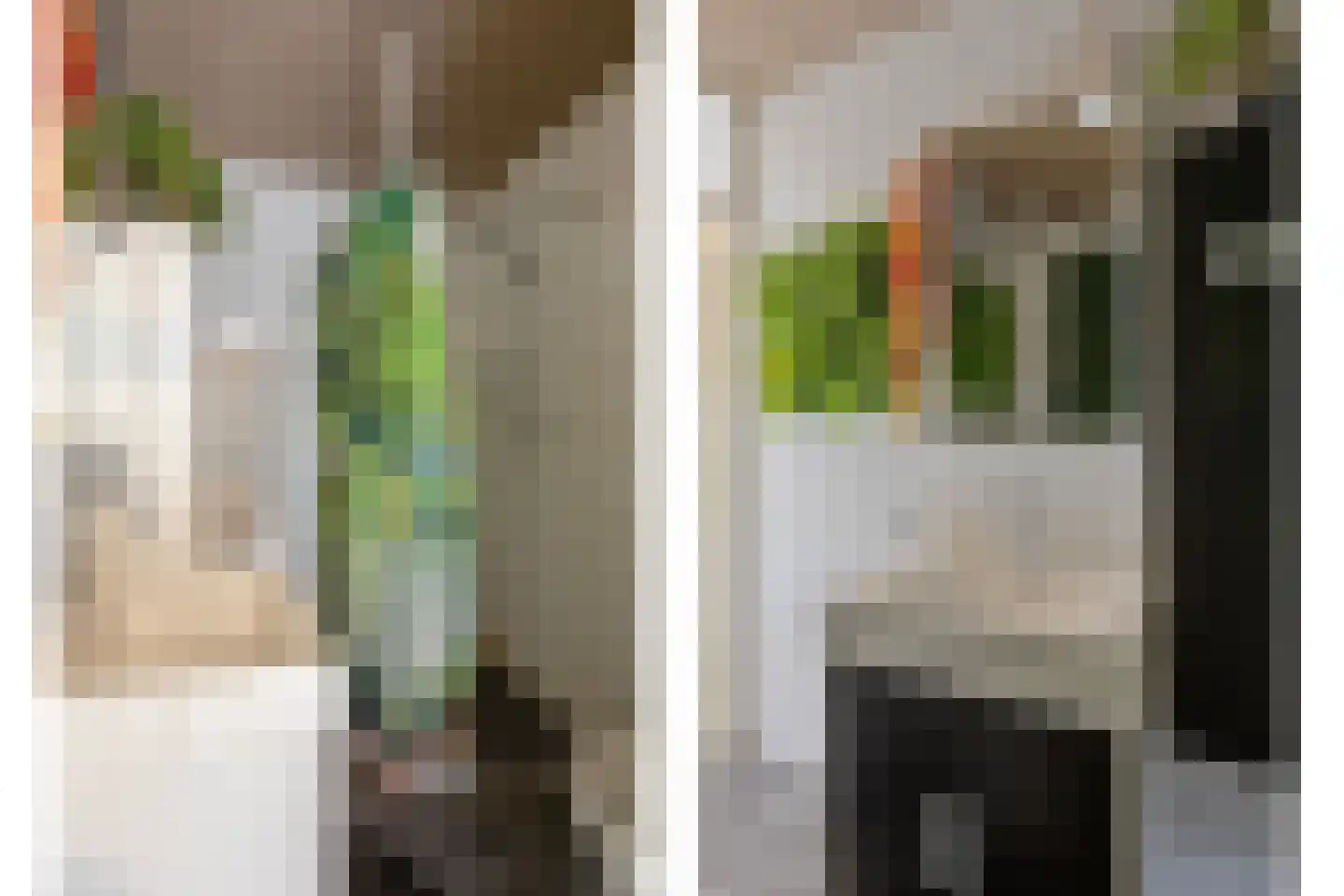 De Kuiperij 25 Oss thumbnail 14