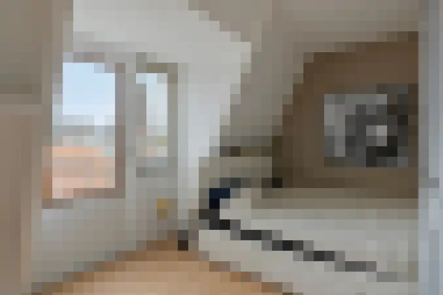De Kuiperij 25 Oss thumbnail 15