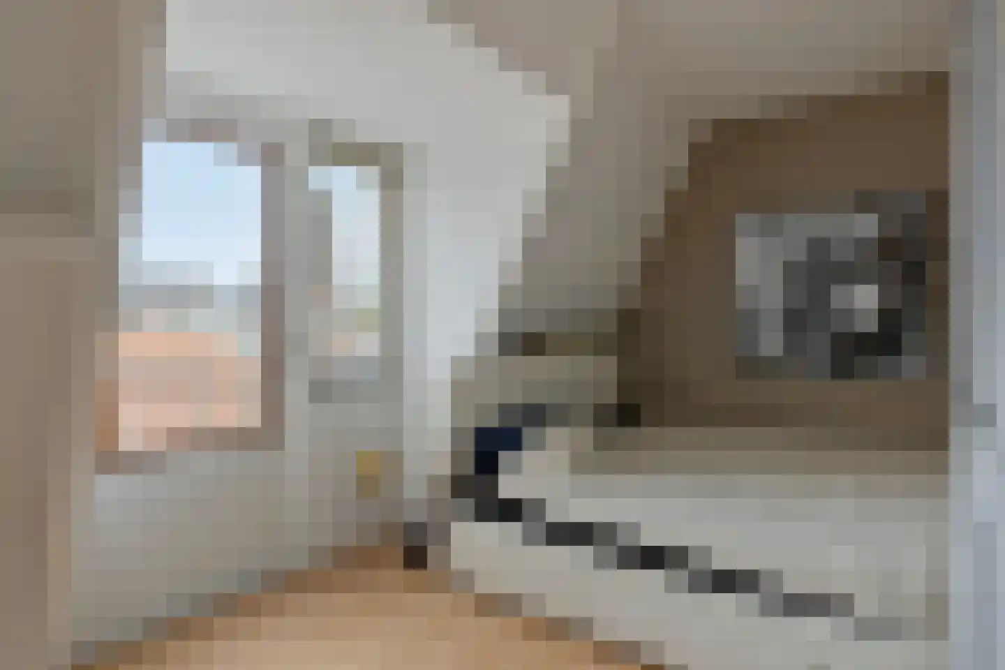 De Kuiperij 25 Oss thumbnail 4