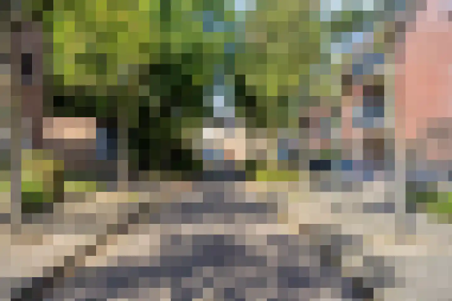 De Kuiperij 27 Oss thumbnail 16