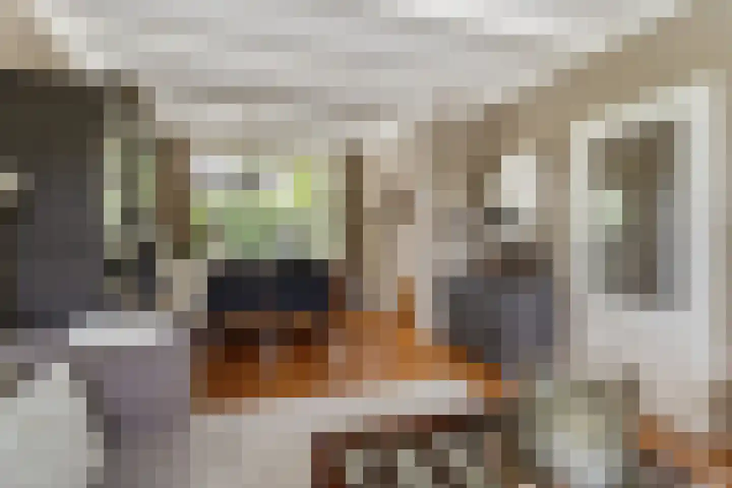 de Kuiperij 3 Pannerden thumbnail 10