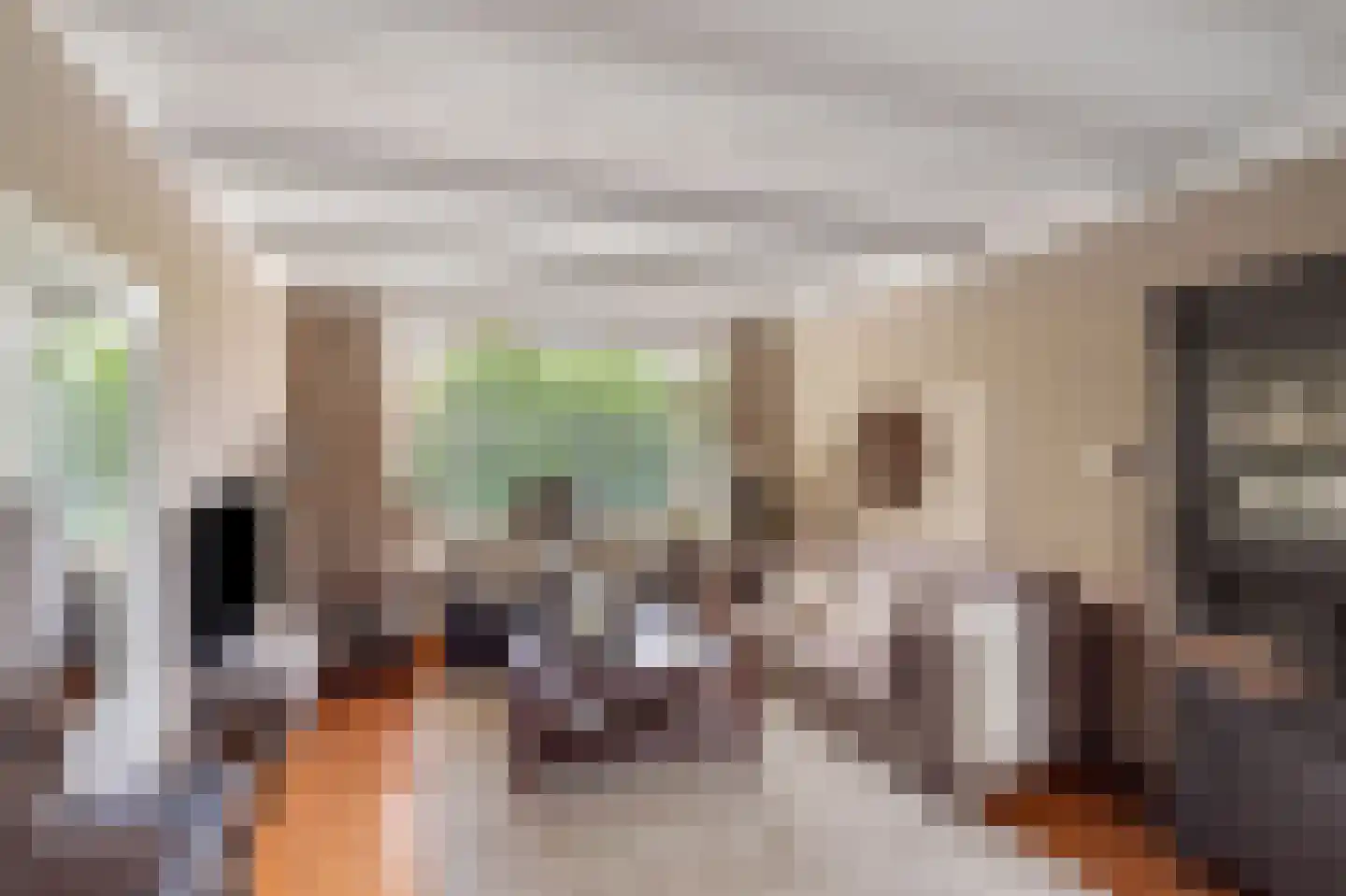 de Kuiperij 3 Pannerden thumbnail 11