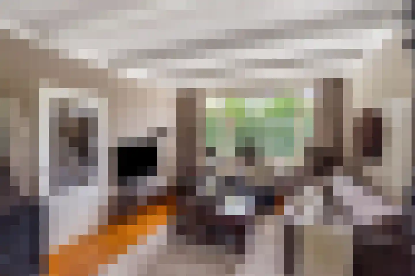 de Kuiperij 3 Pannerden thumbnail 13