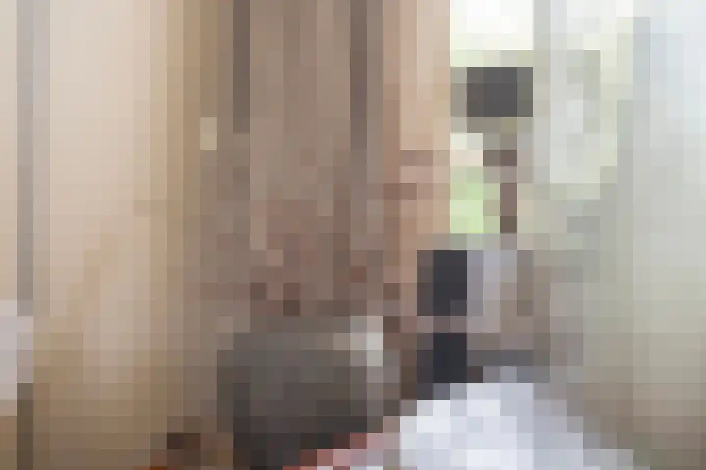 de Kuiperij 3 Pannerden thumbnail 14