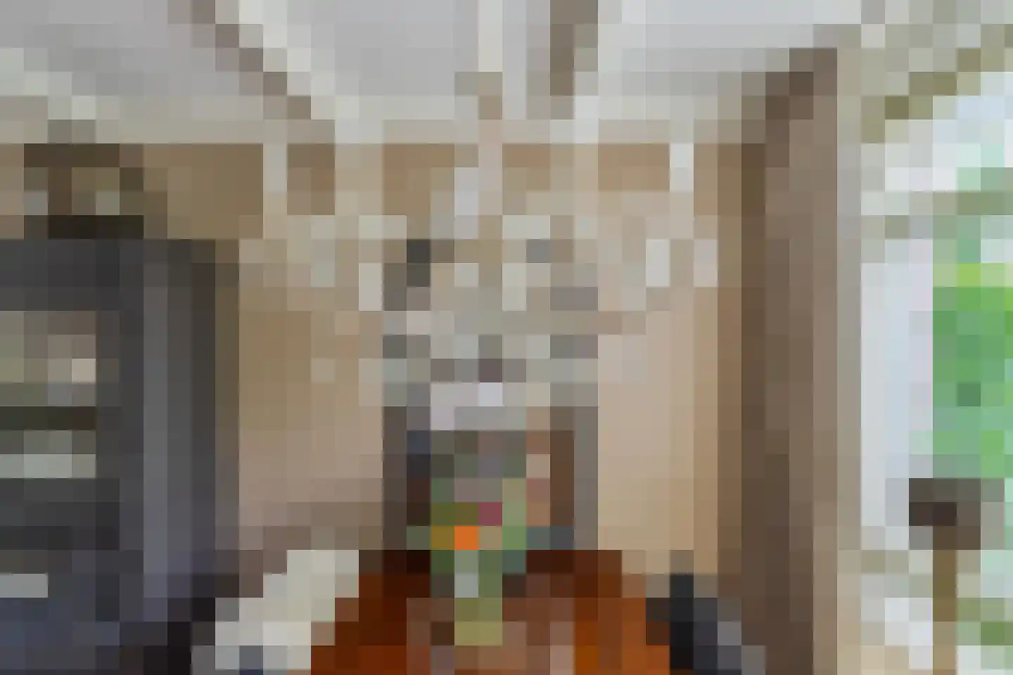 de Kuiperij 3 Pannerden thumbnail 18