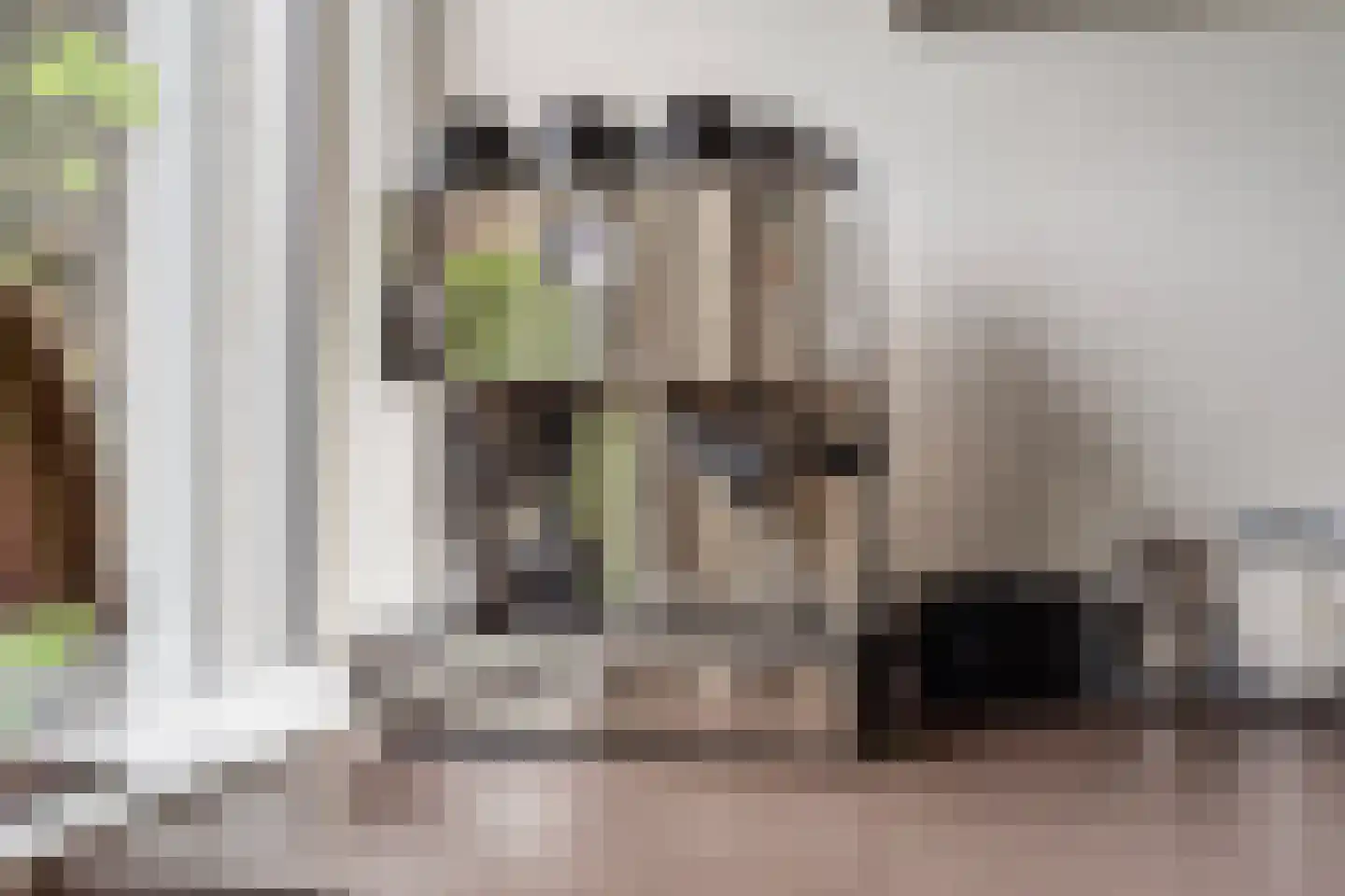 de Kuiperij 3 Pannerden thumbnail 22