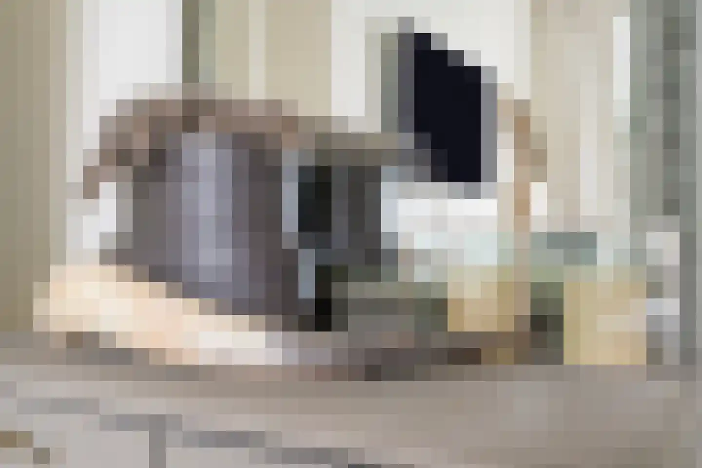 de Kuiperij 3 Pannerden thumbnail 28
