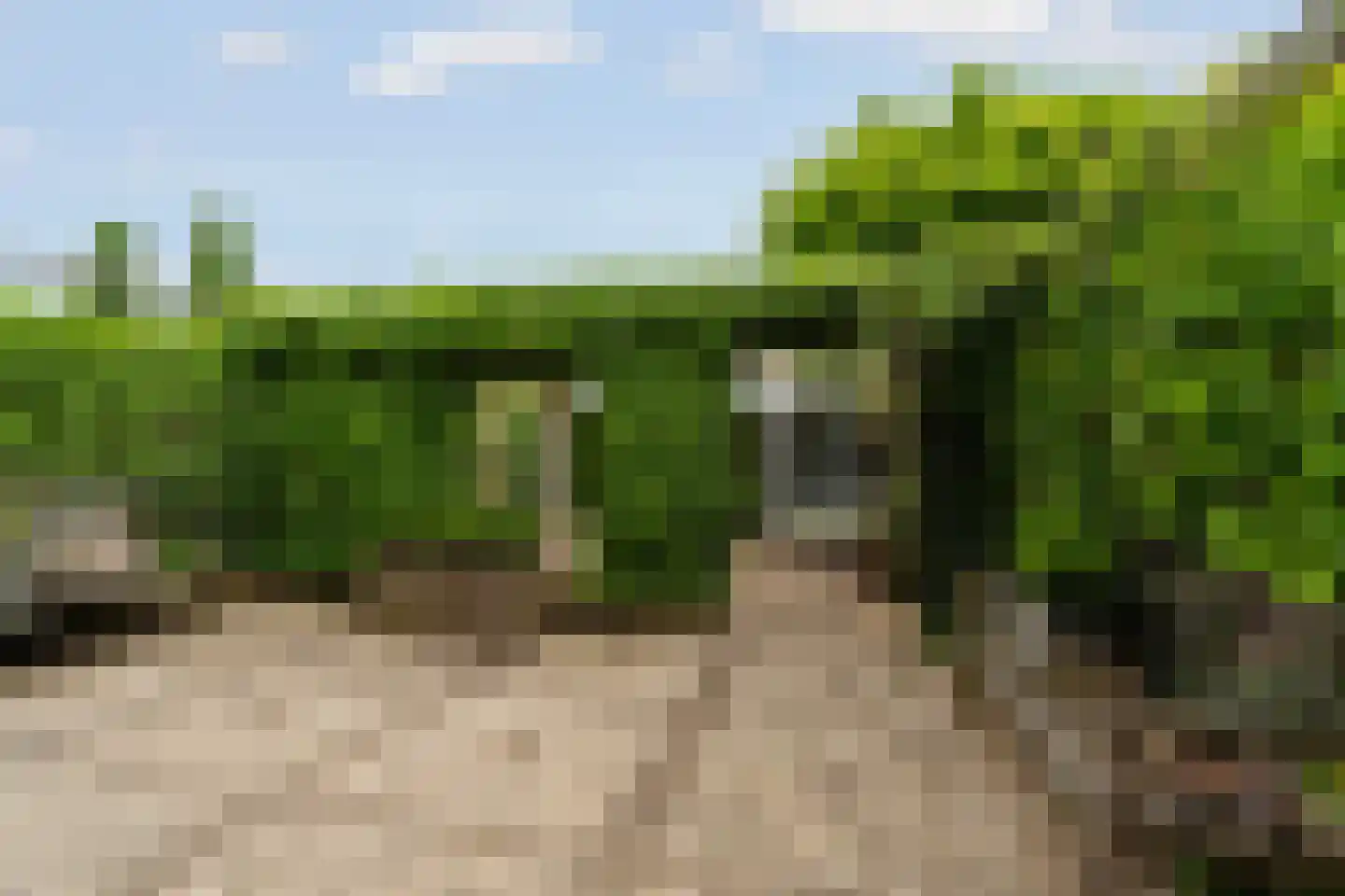 de Kuiperij 3 Pannerden thumbnail 42