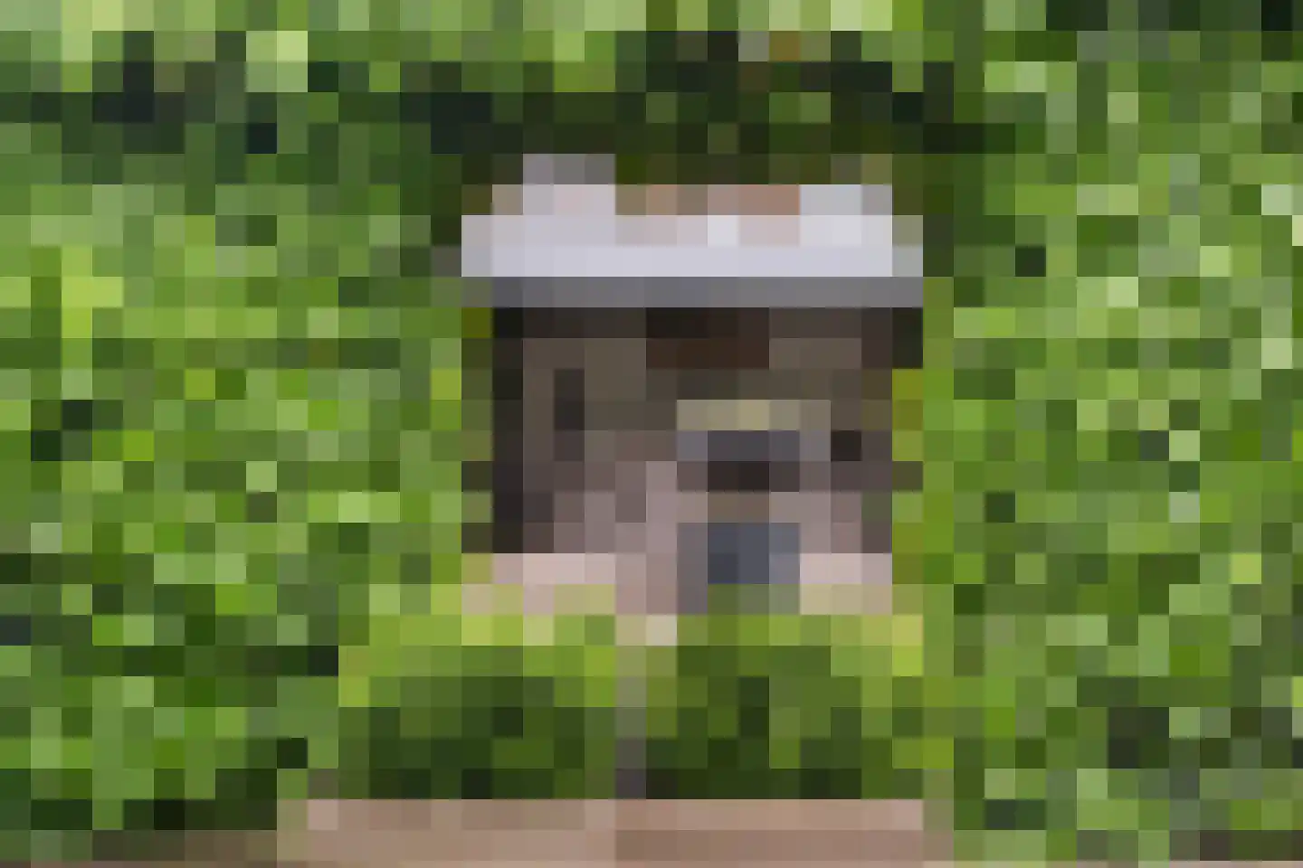 de Kuiperij 3 Pannerden thumbnail 43