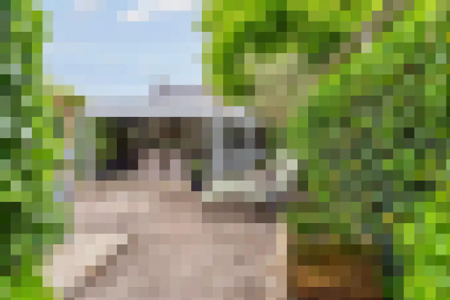 de Kuiperij 3 Pannerden thumbnail 44