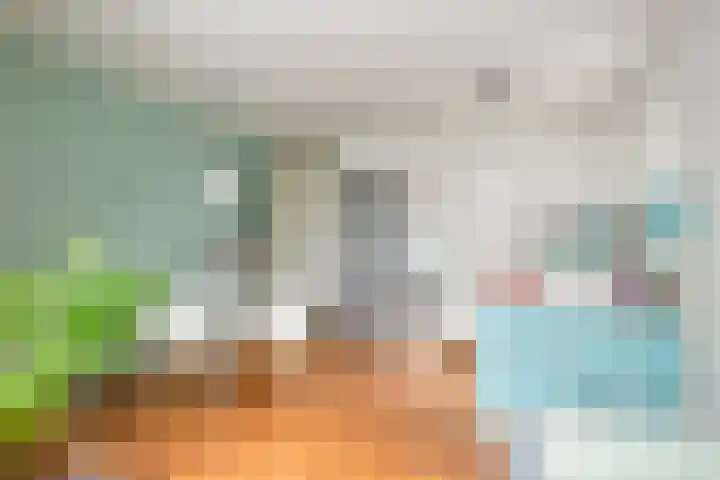 De Kuiperij 9 Oss thumbnail 10