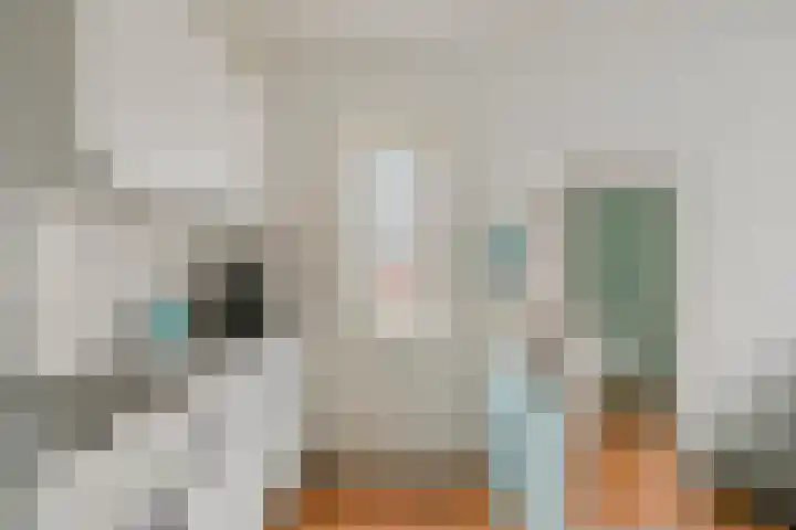 De Kuiperij 9 Oss thumbnail 14