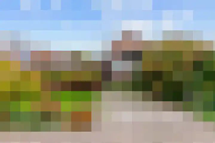 De Kuiperij 9 Oss thumbnail 16
